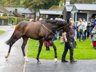 WG031025-46 - Jaramillo